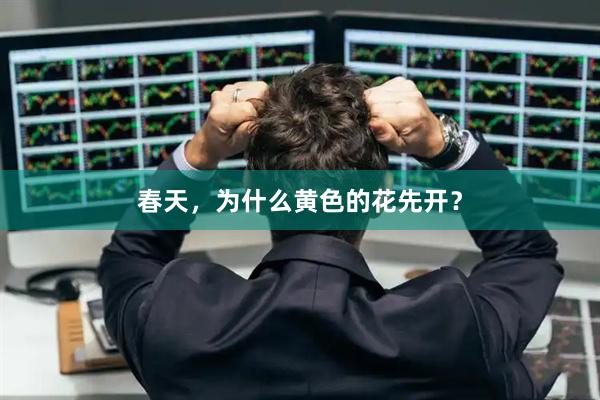 春天，为什么黄色的花先开？